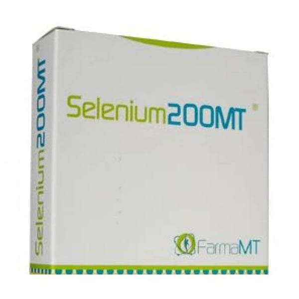 7392449.webp