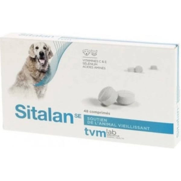 Sitalan Se Comp Cao E Gato X48